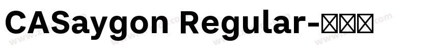 CASaygon Regular字体转换